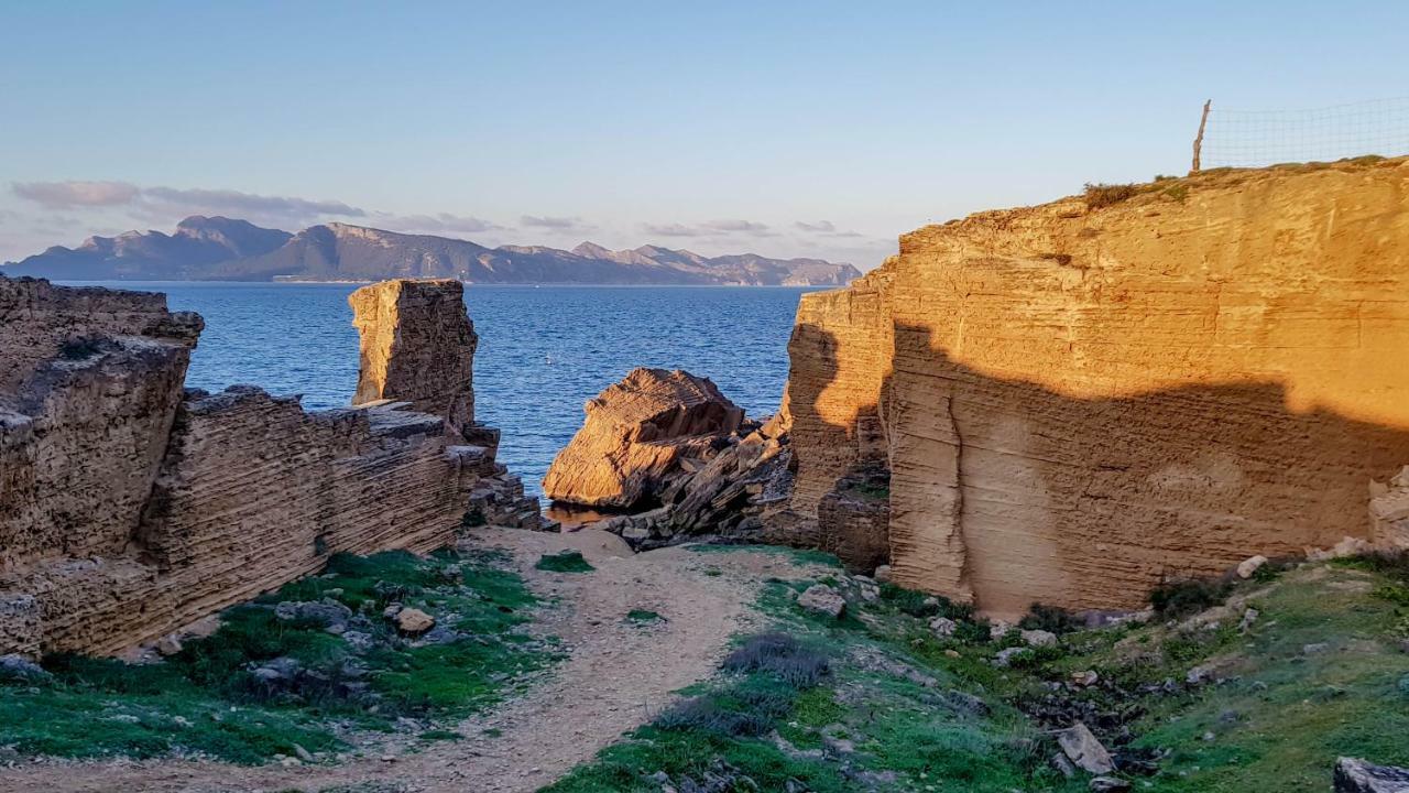Es Fasser Alcudia  Eksteriør billede
